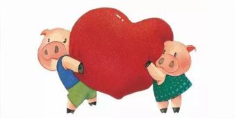 派出所院子里跑進來一只小豬，接下來會發生一系列什么事呢......